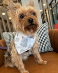 Be Kind To Your Mind Pet Bandana