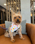 Be Kind To Your Mind Pet Bandana
