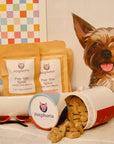 Tasty Treat Sampler Treats