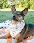 Spread Love and Kindness Pet Bandana