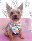 Spread Love and Kindness Pet Bandana