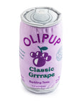Olipup Dog Toy