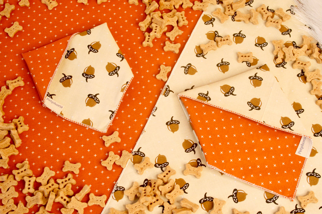 Autumn Acorns Pet Bandana