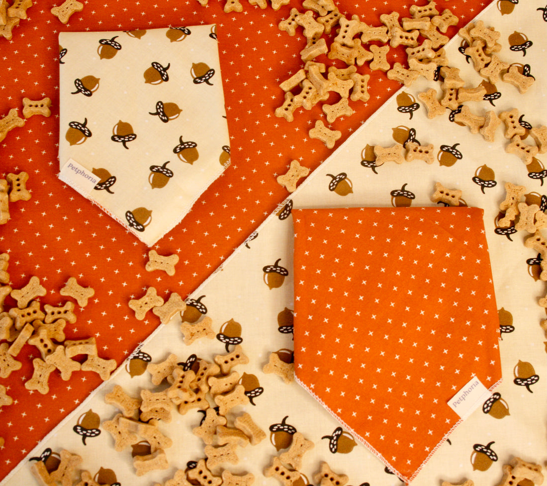 Autumn Acorns Pet Bandana