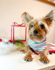 Candy Cane Lane Pet Bandana