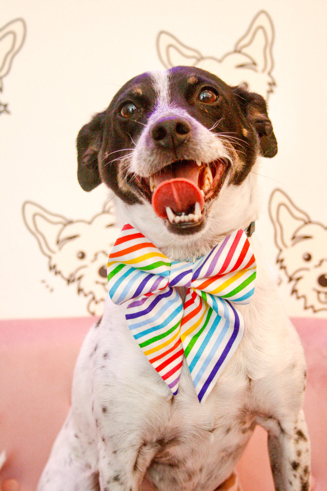 Pup Pride Bow