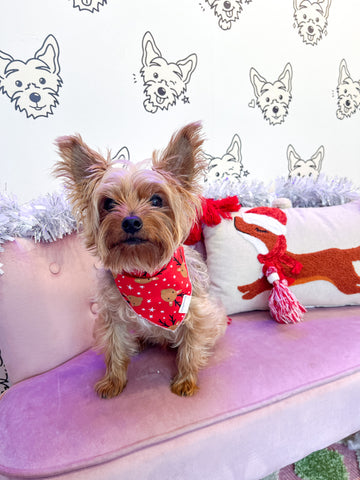 Reindeer Rave Pet Bandana