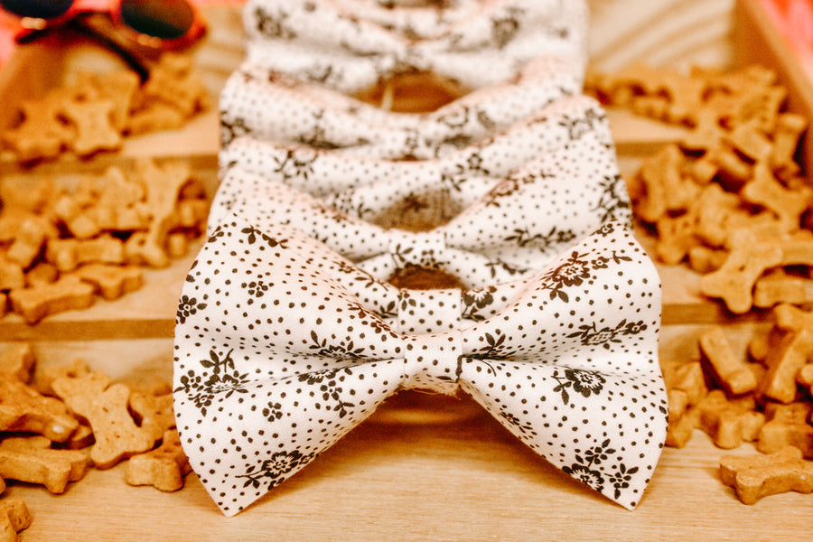 Sophisticated Bow Tie