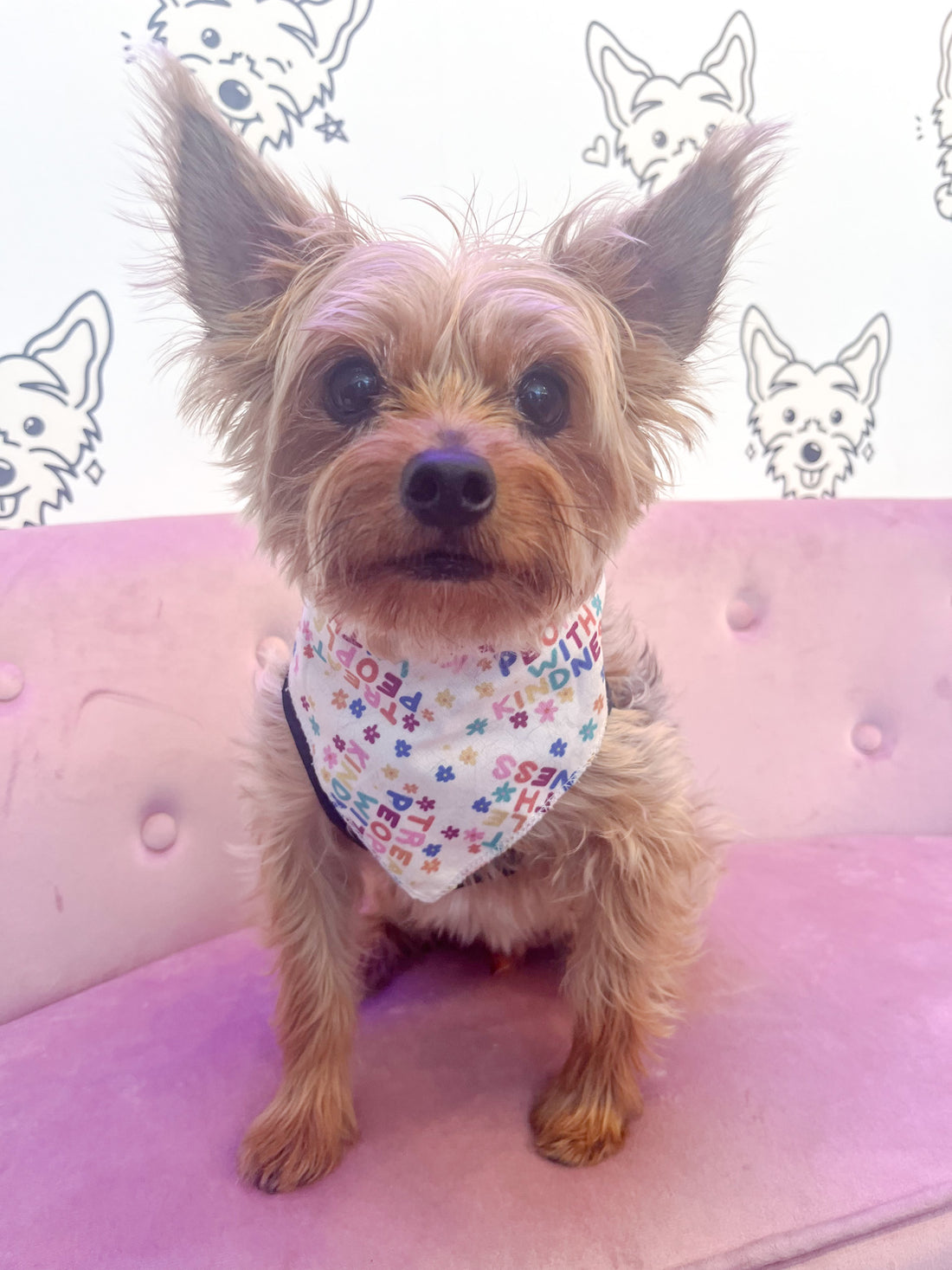 Spread Love and Kindness Pet Bandana