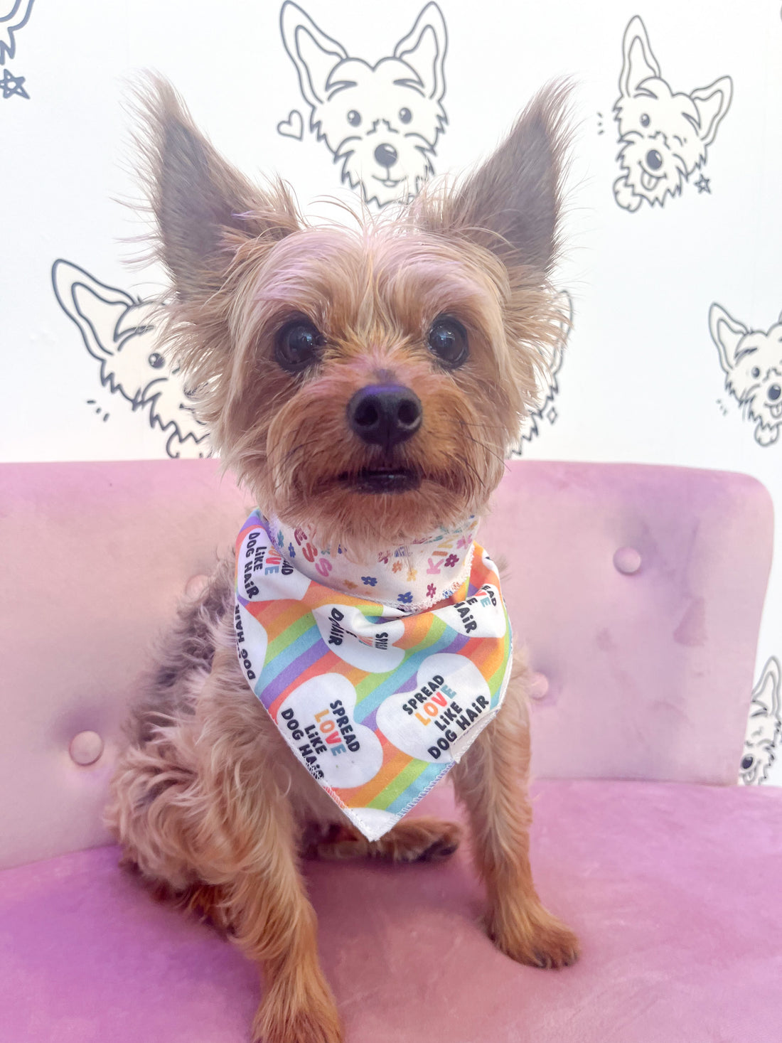 Spread Love and Kindness Pet Bandana