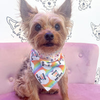 Spread Love and Kindness Pet Bandana