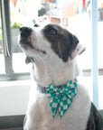 Groovy Green Pet Bow