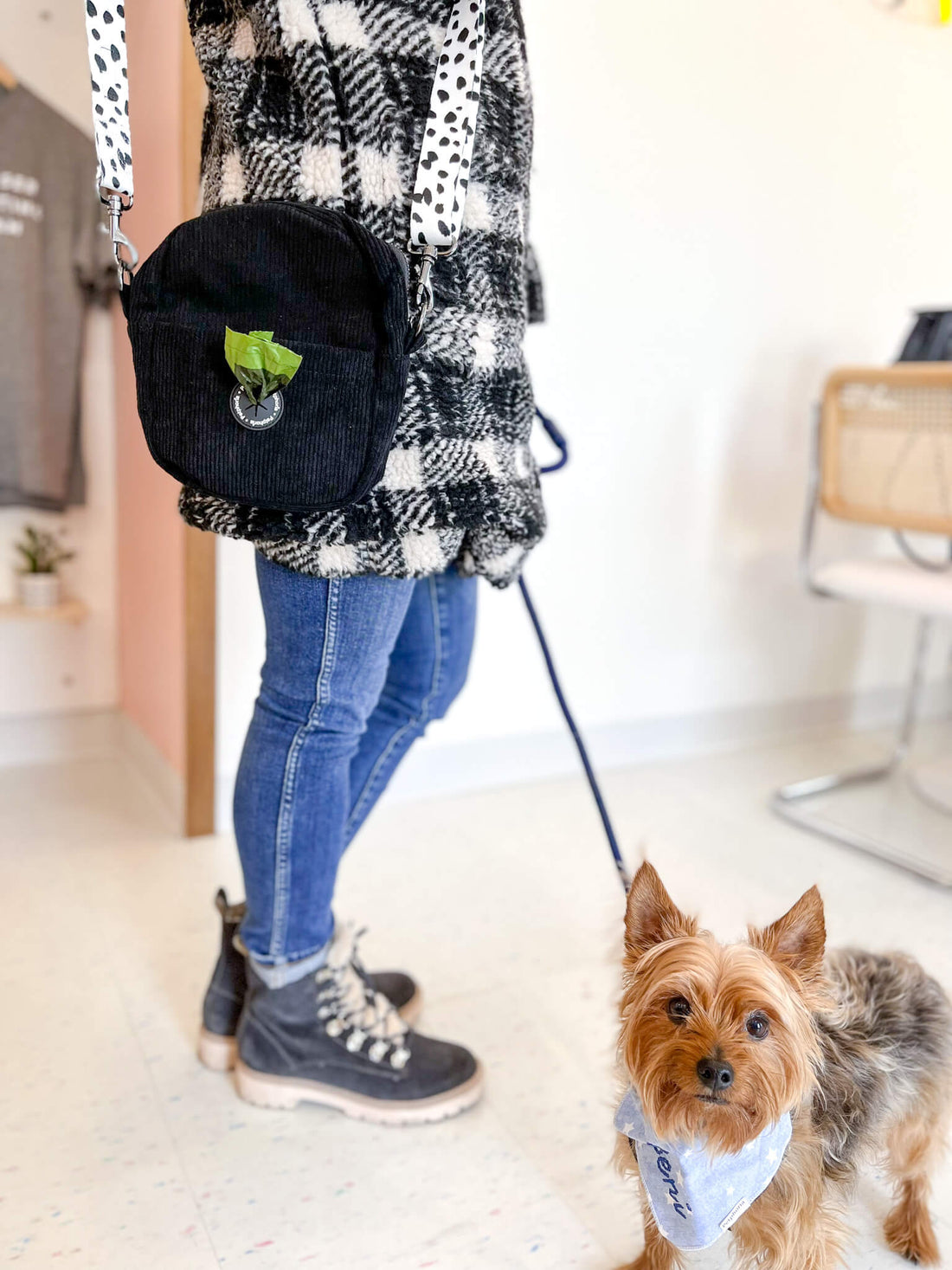 Convertible Dog Walking Bag