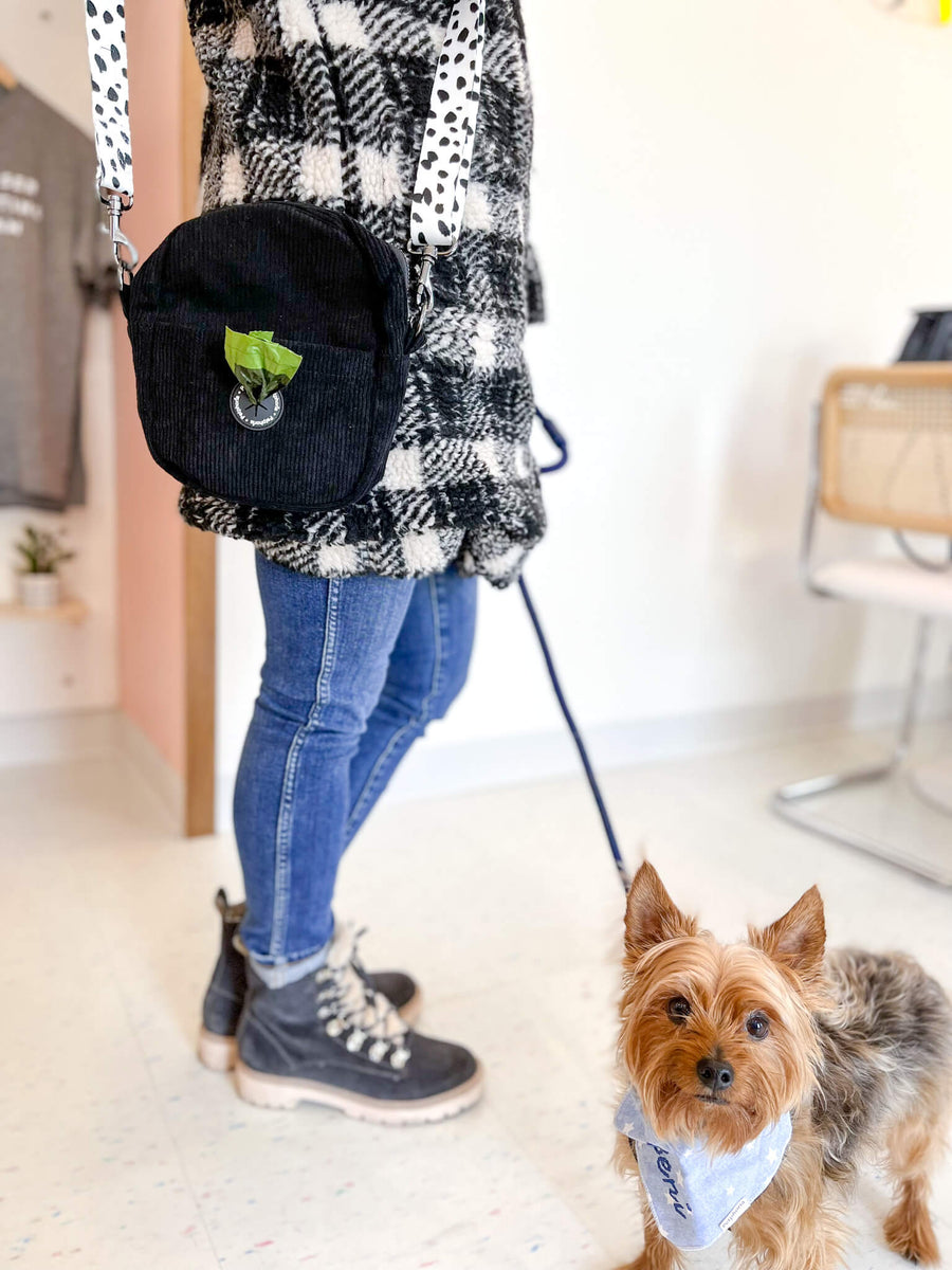 Convertible Dog Walking Bag