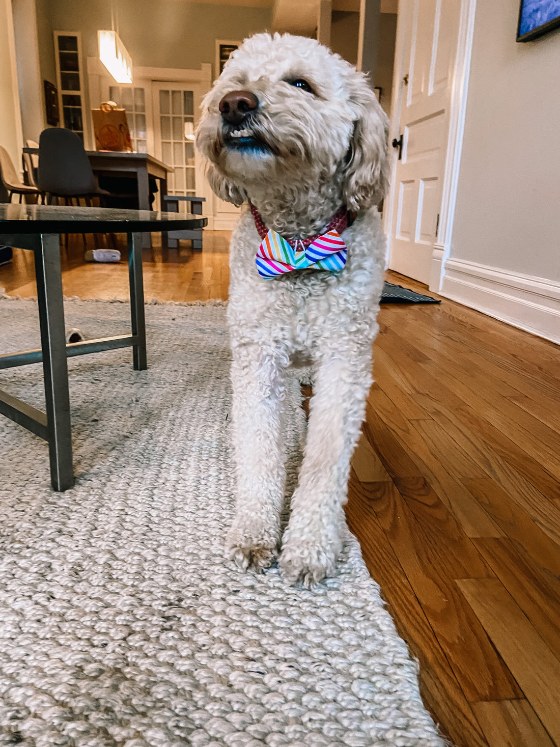 Pup Pride Bow