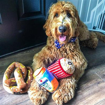 Pawgrrino Dog Toy